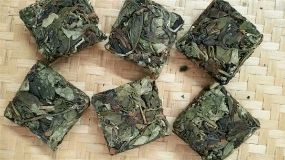 岳西茶叶品种