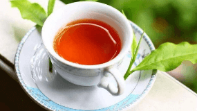茶饼病菌对茶树的影响