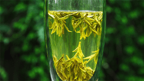 江西庐山盛产的名茶是什么