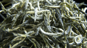 四川绿茶品种排名