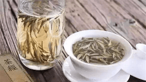福建磻溪白茶