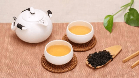 上百年的普洱茶能喝吗