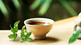 喝牛蒡茶对肝病有好处吗