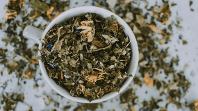 青茶的品种及图片