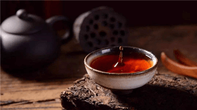 云南普洱茶品种
