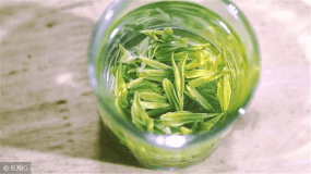 哪些绿茶的茶叶是片状