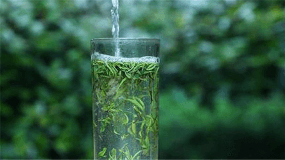 绿茶名茶（绿茶名茶有哪些品种）