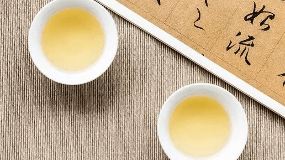 菊苣栀子茶的功效是什么
