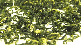老绿茶（老绿茶的作用与功效）