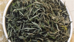 绿茶白茶青茶红茶（绿茶白茶青茶红茶是以什么为依据来划分的）