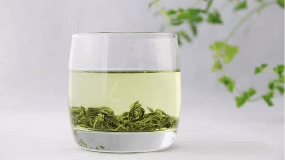 绿茶最多能泡多少时间