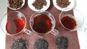 安徽茶有多少种