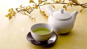 日照绿茶发展历史