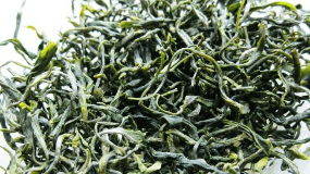 绿茶多少钱一斤