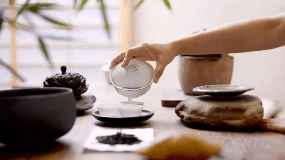 护肝茶是什么