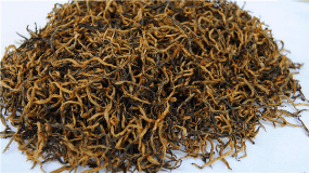 金骏眉是什么茶叶品种