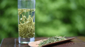 晒青绿茶最出名的品种