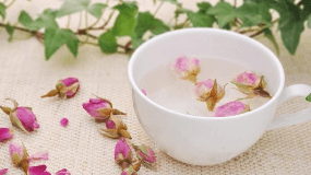 蒲公英玫瑰花茶的功效与作用及禁忌