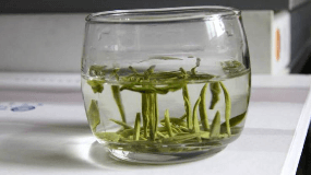 喝绿茶饮料能减肥吗