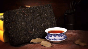 青茶种类名称大全