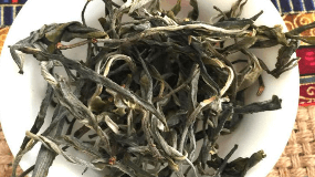 云南普洱绿茶多少钱一斤
