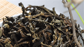 武夷山岩茶水仙属于什么茶