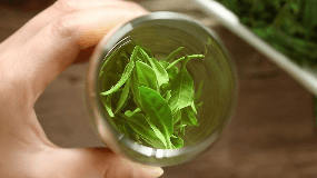 绿茶有哪些品种哪种绿茶比较好喝