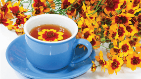 茶叶品牌加盟店排行榜
