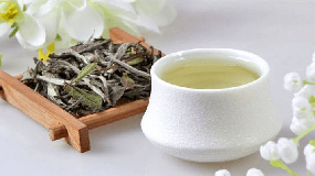 康师傅绿茶的系列产品