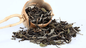 冬菇茶有什么功效与作用