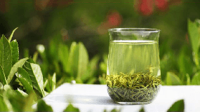 绿茶的香型有哪些