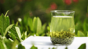 绿茶的三种方法