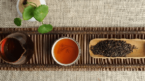 中国最好的普洱茶产地