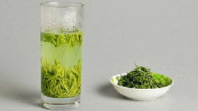 保定绿茶多少钱一斤