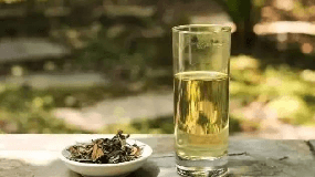 白茶茶叶价格（白茶一斤多少钱）