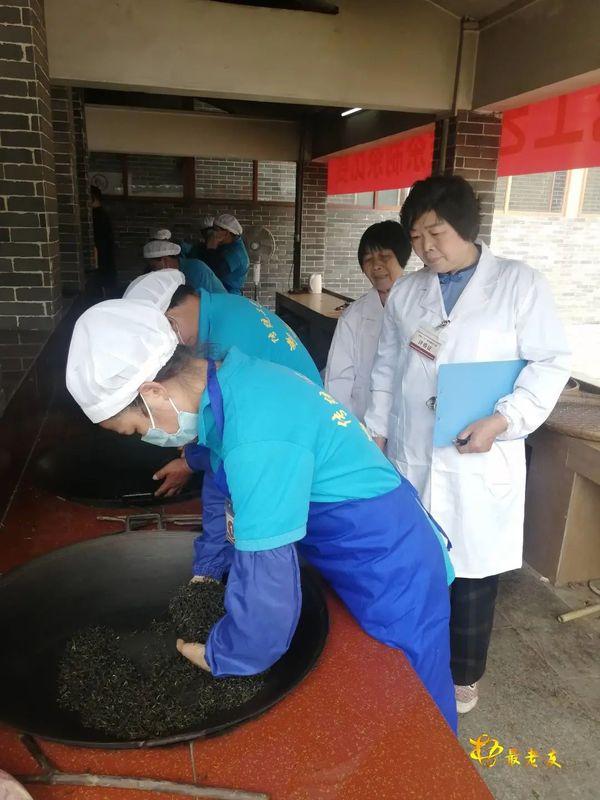 苍梧县六堡镇：弘扬六堡茶文化，提高传统六堡茶制作技术水平
