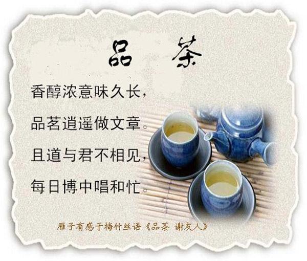 夏颖说茶：普洱茶特色品饮文化