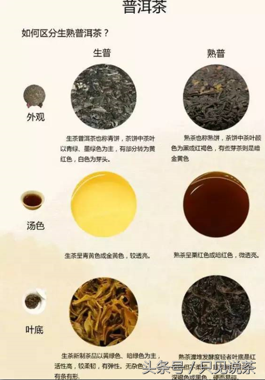 八张图让你彻底读懂普洱茶，有关普洱茶文化的全面解析！
