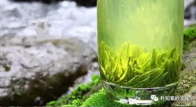 绿茶。。。