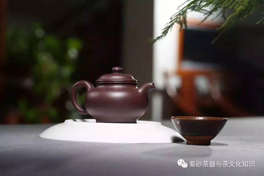 紫砂壶各种泥料和哪种茶叶更配？