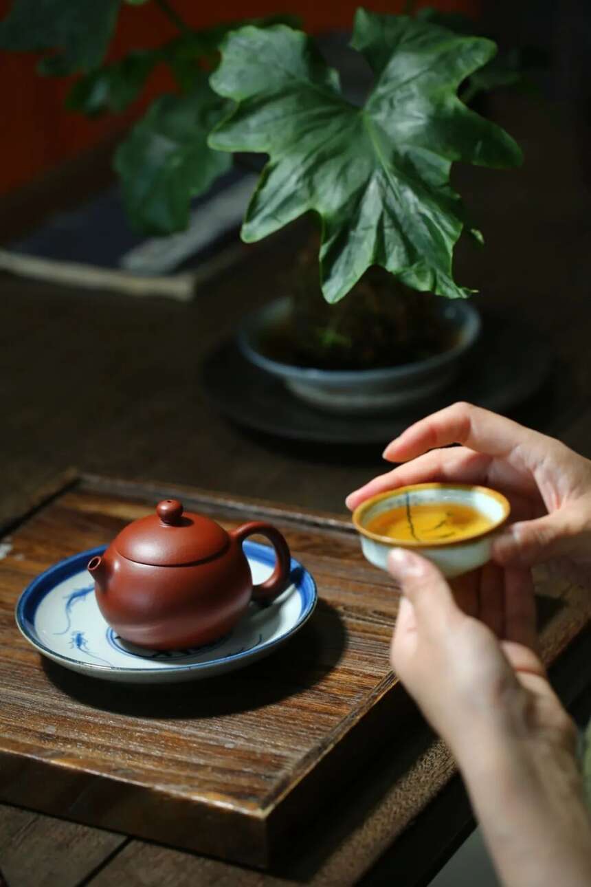 紫砂最常见的8款茶壶，每款都堪称经典