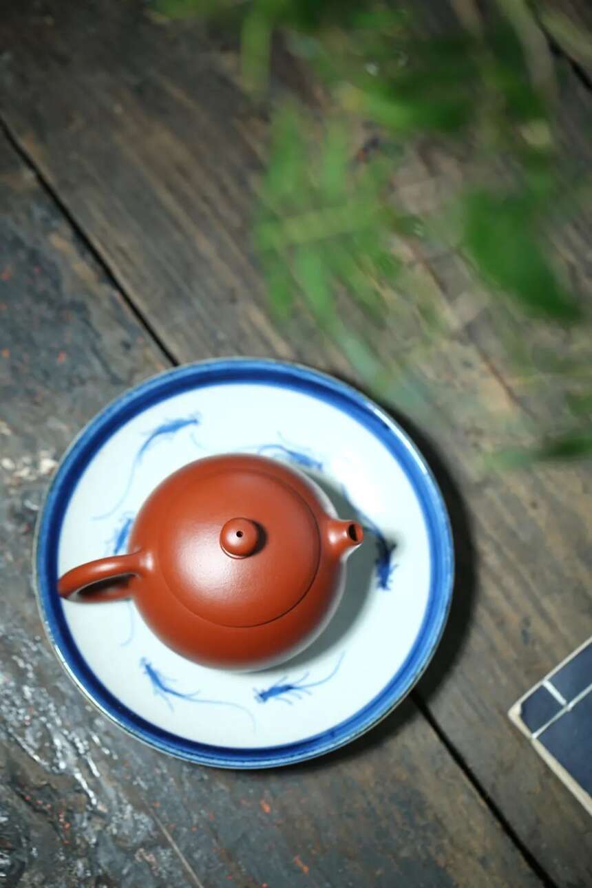 紫砂答疑 | 泡乌龙茶用什么紫砂壶？