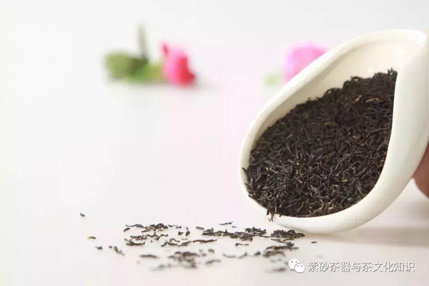 紫砂壶各种泥料和哪种茶叶更配？