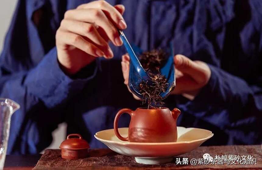 紫砂壶泡茶