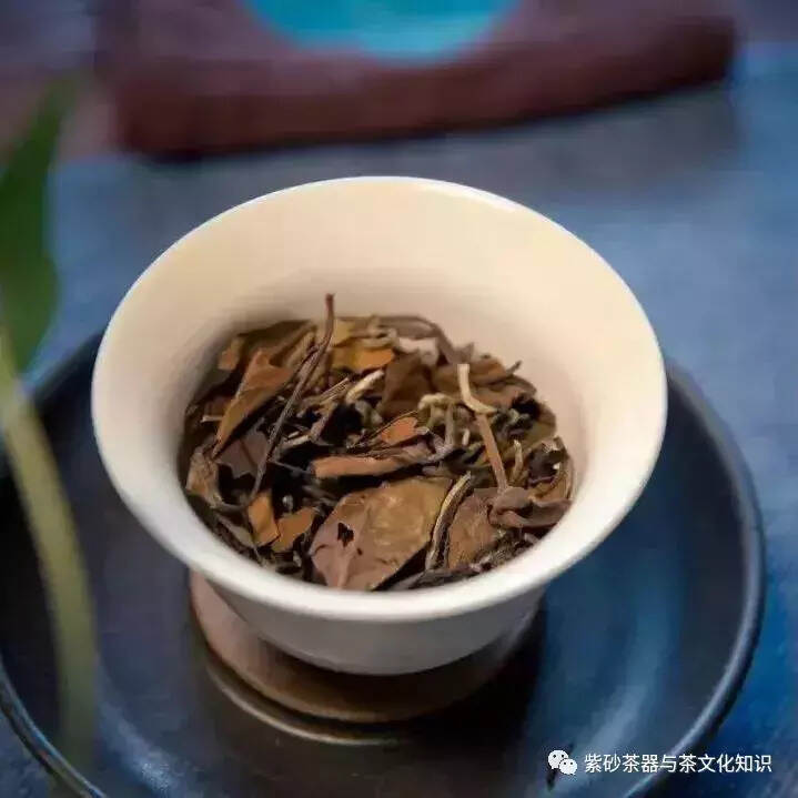 白茶｜用于存储的寿眉应该怎么选择？