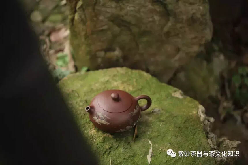 紫砂壶与茶的发茶性之间那些讲究