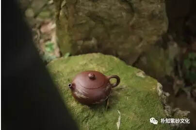 紫砂壶为什么宜茶，如何配茶！（二）