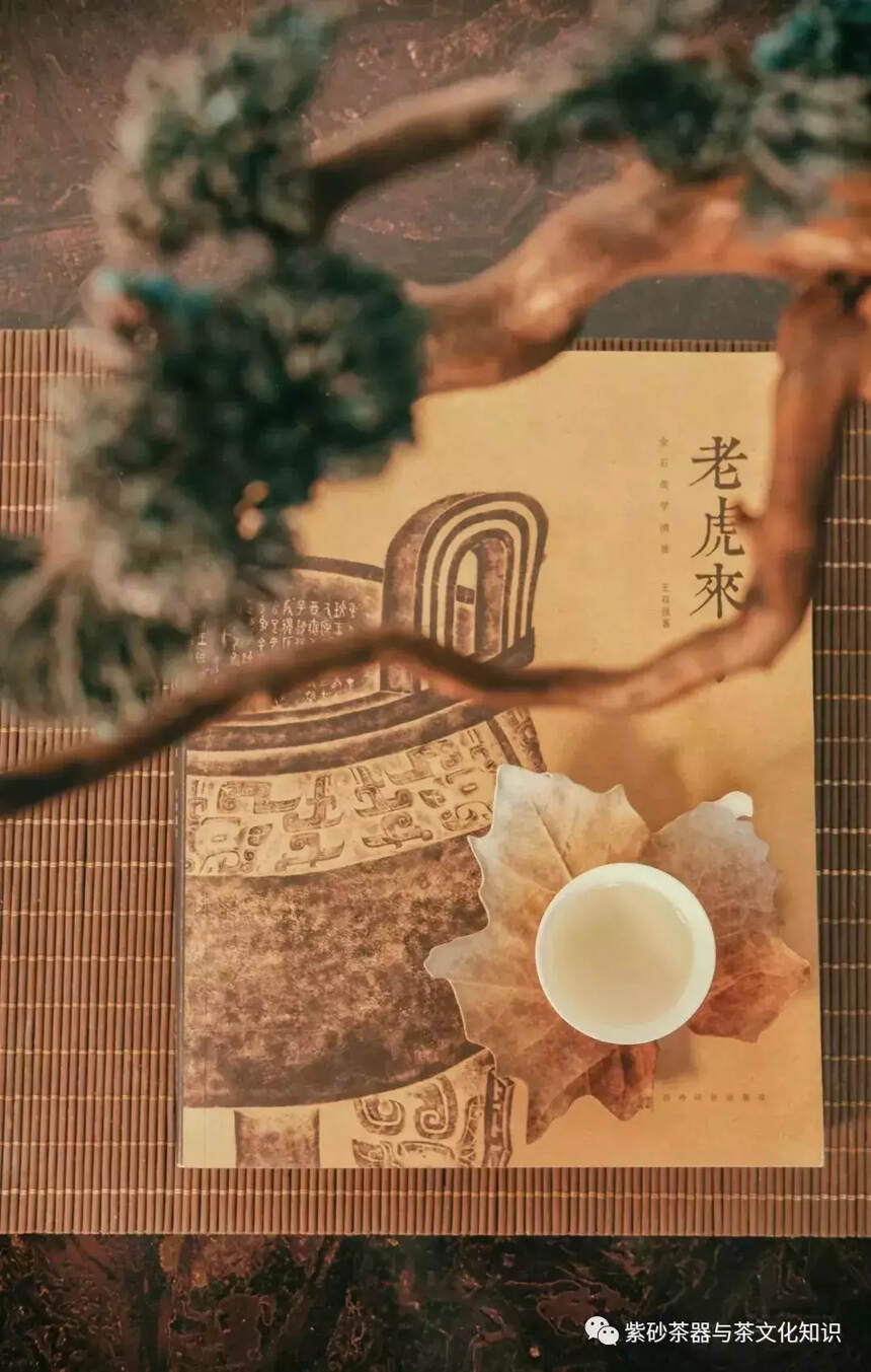 青茶｜青茶的四大香味，究竟哪种香排第一呢？