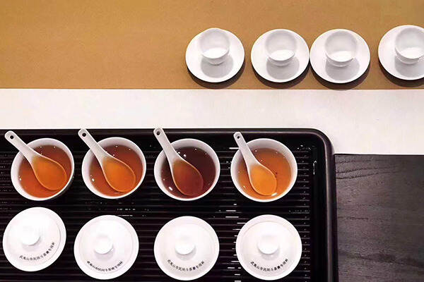 佳逸茶具 | 品茶与评茶