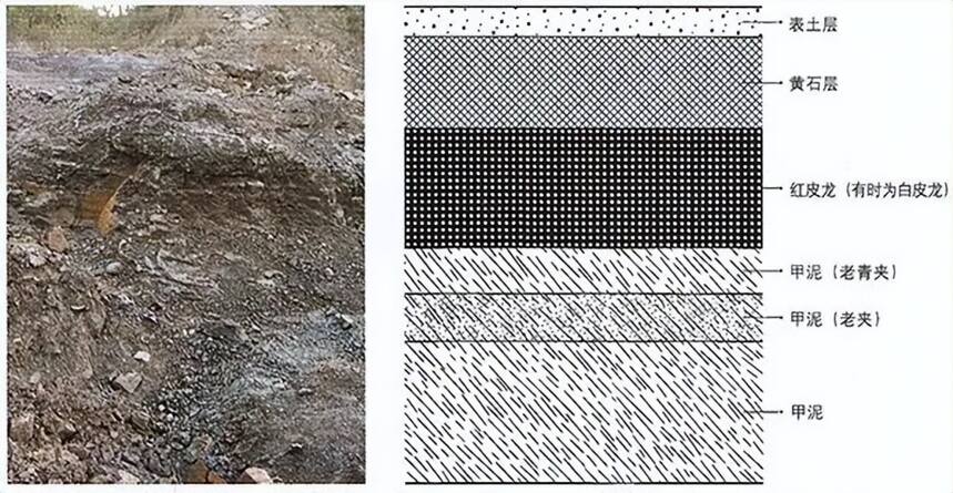 紫砂答疑 | 紫砂矿区的主要泥层是怎么分布的？